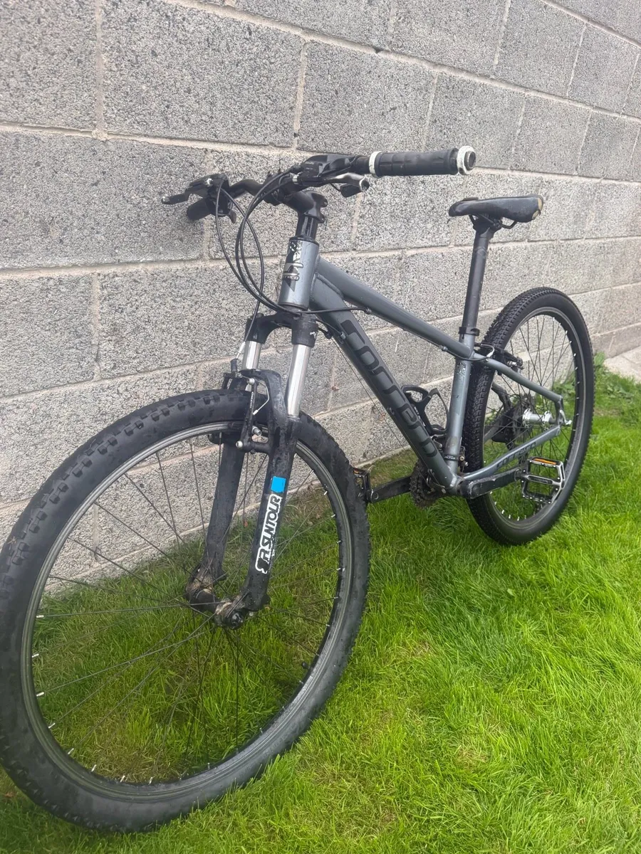 Carrera bike for sale - Image 3