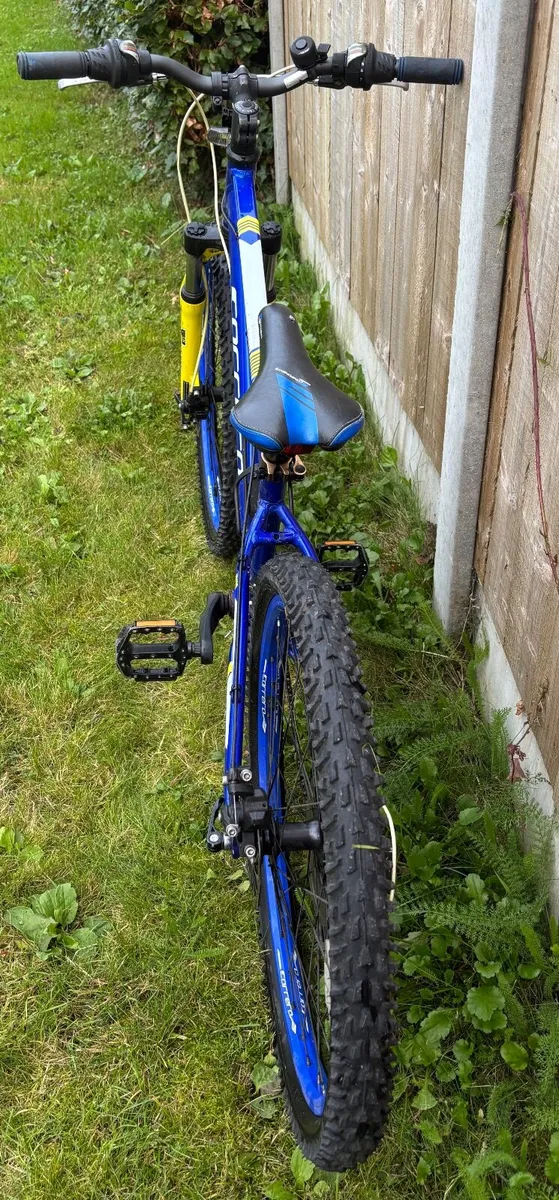 Carrera Mountain Bike-Junior - Image 1