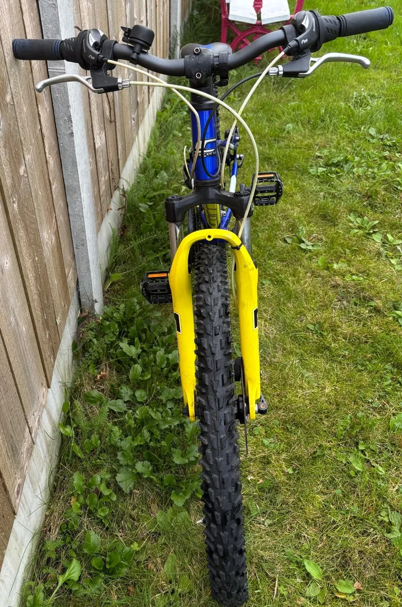 Carrera Mountain Bike-Junior - Image 2