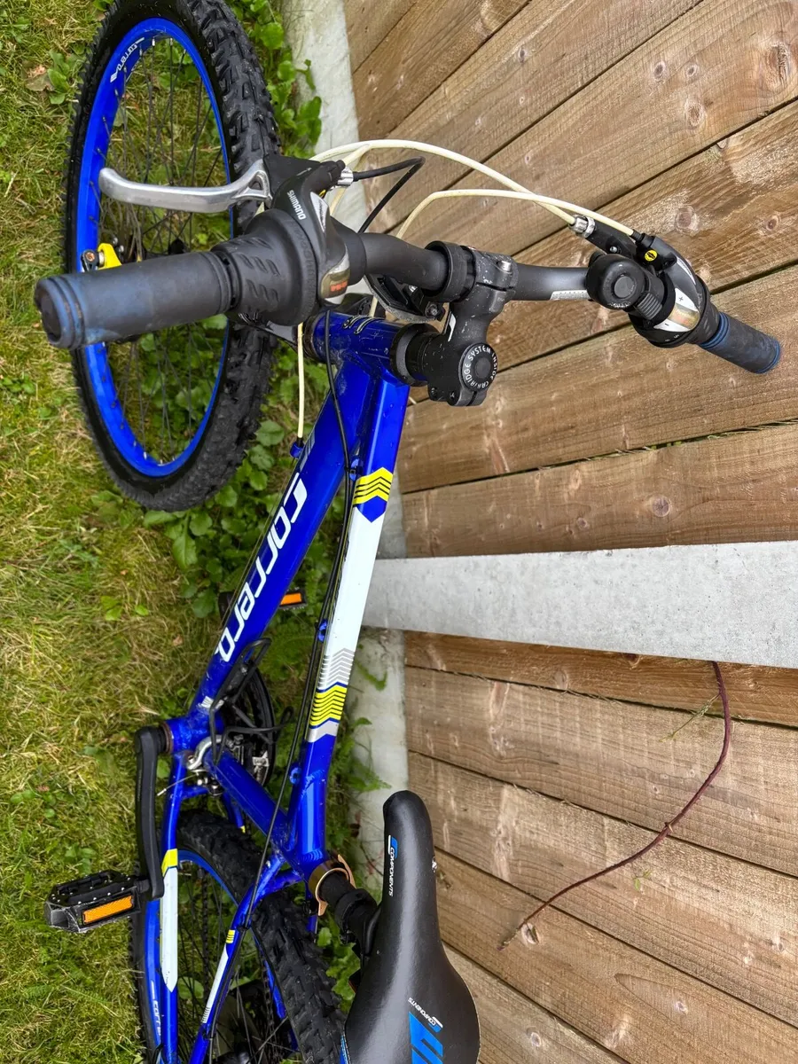 Carrera Mountain Bike-Junior - Image 3