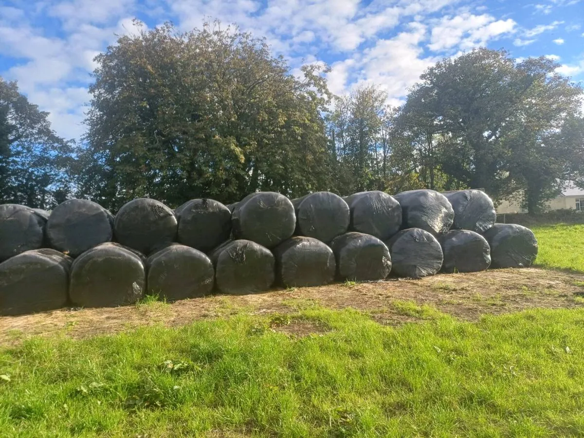 Silage Bales - Image 3