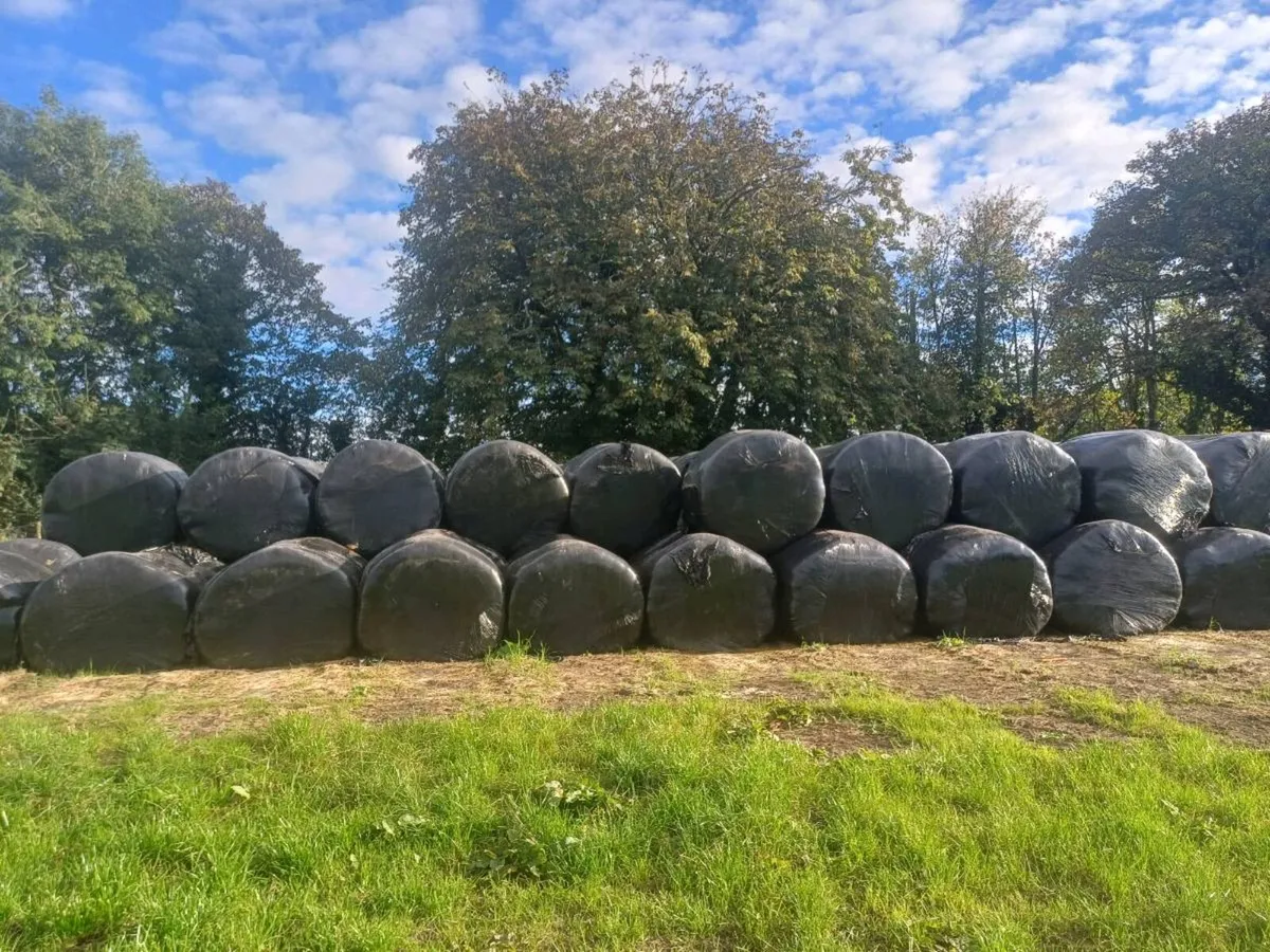 Silage Bales - Image 2