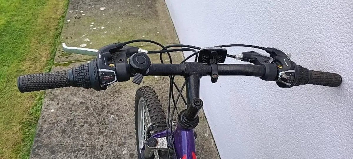 Girl's bike in great condition - Image 4