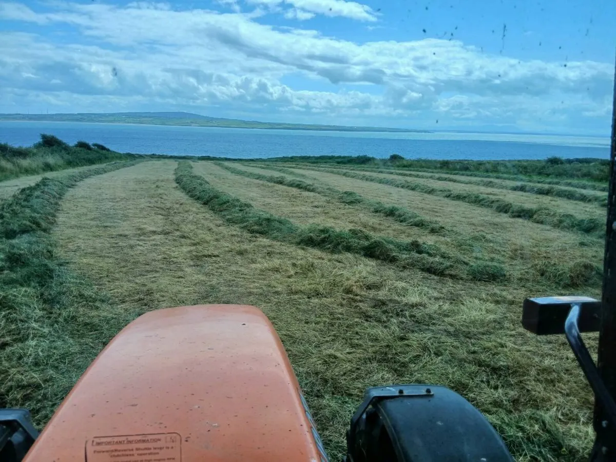 Silage Bales