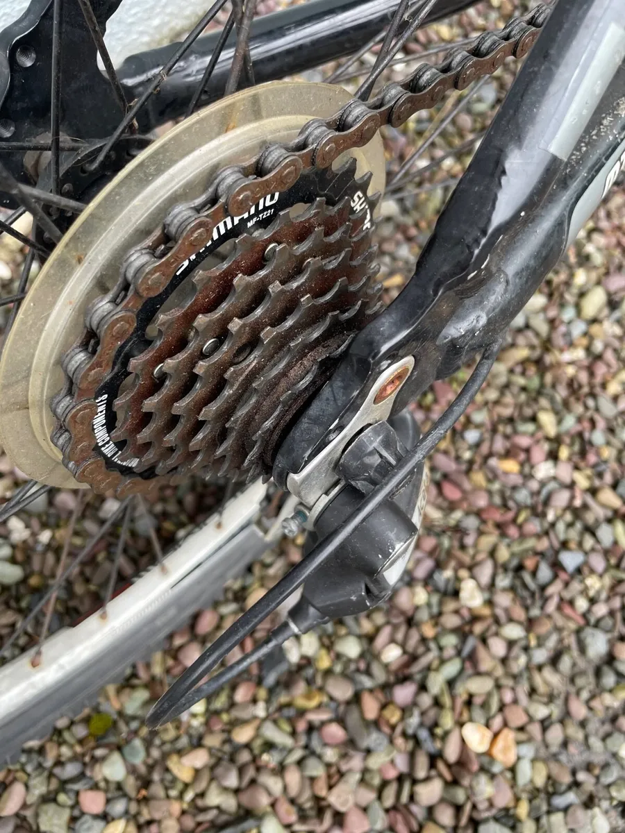 Focus Imagine RR 24” Youth Mountain Bike - Image 4