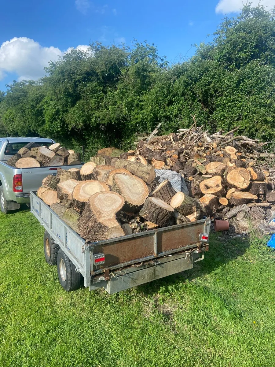 Hard wood timber blocks lengths - Image 1