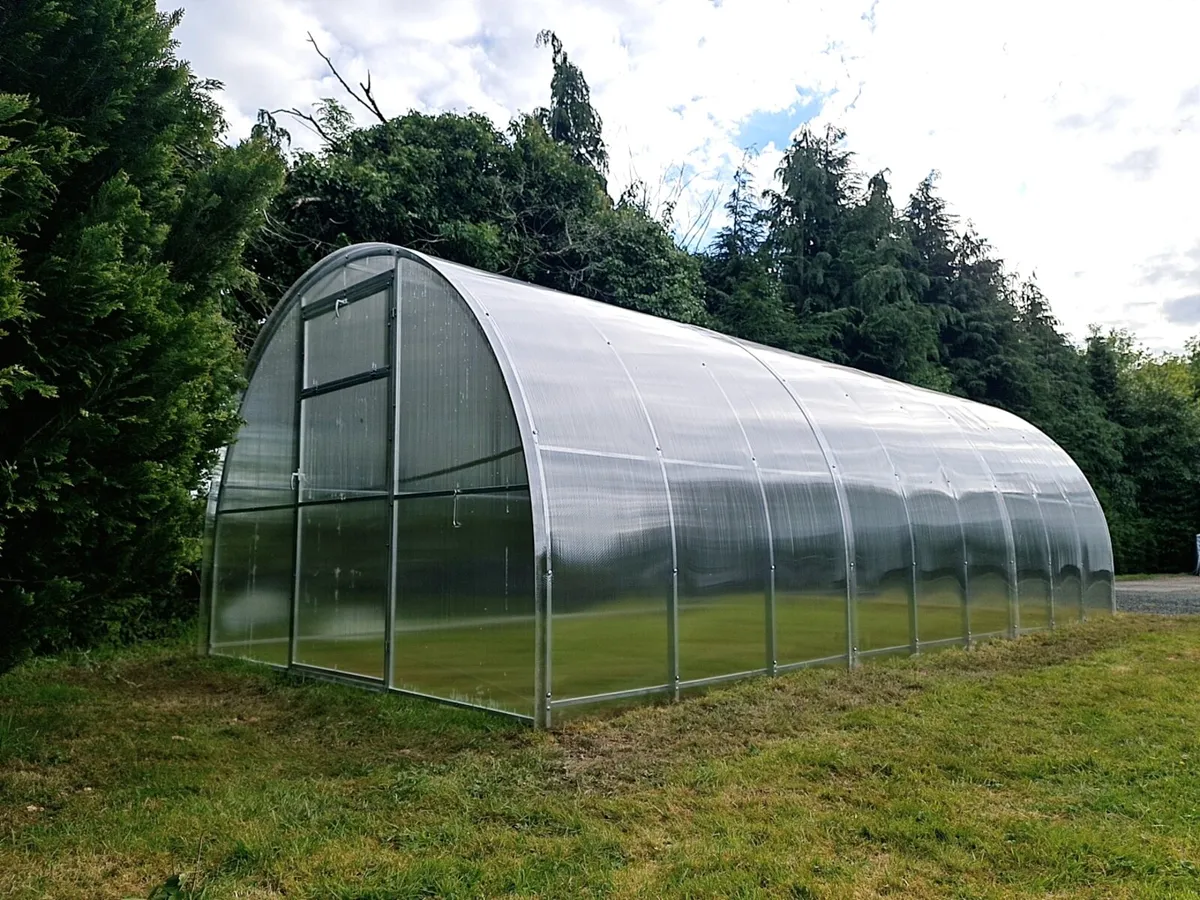 Used Polycarbonate Greenhouse 3x6m - Image 3