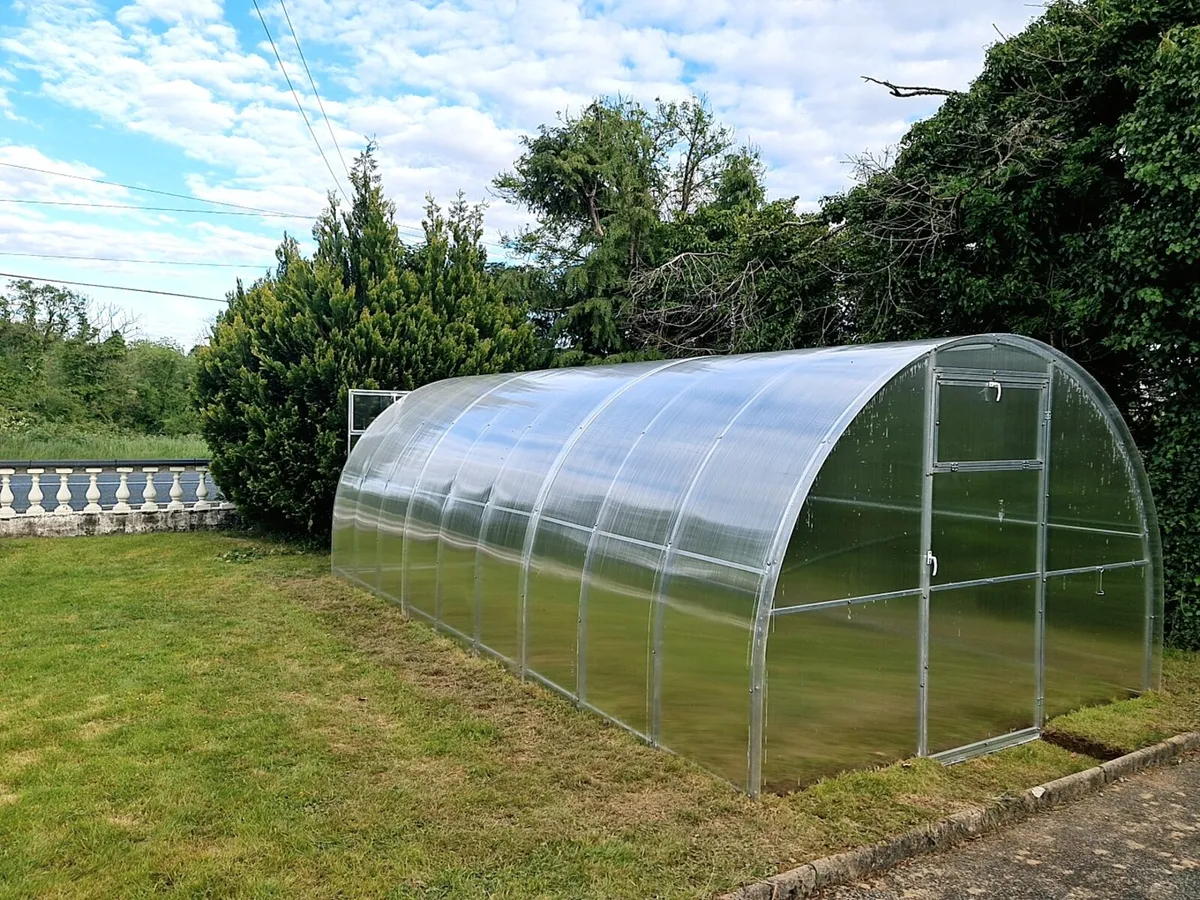 Used Polycarbonate Greenhouse 3x6m - Image 2