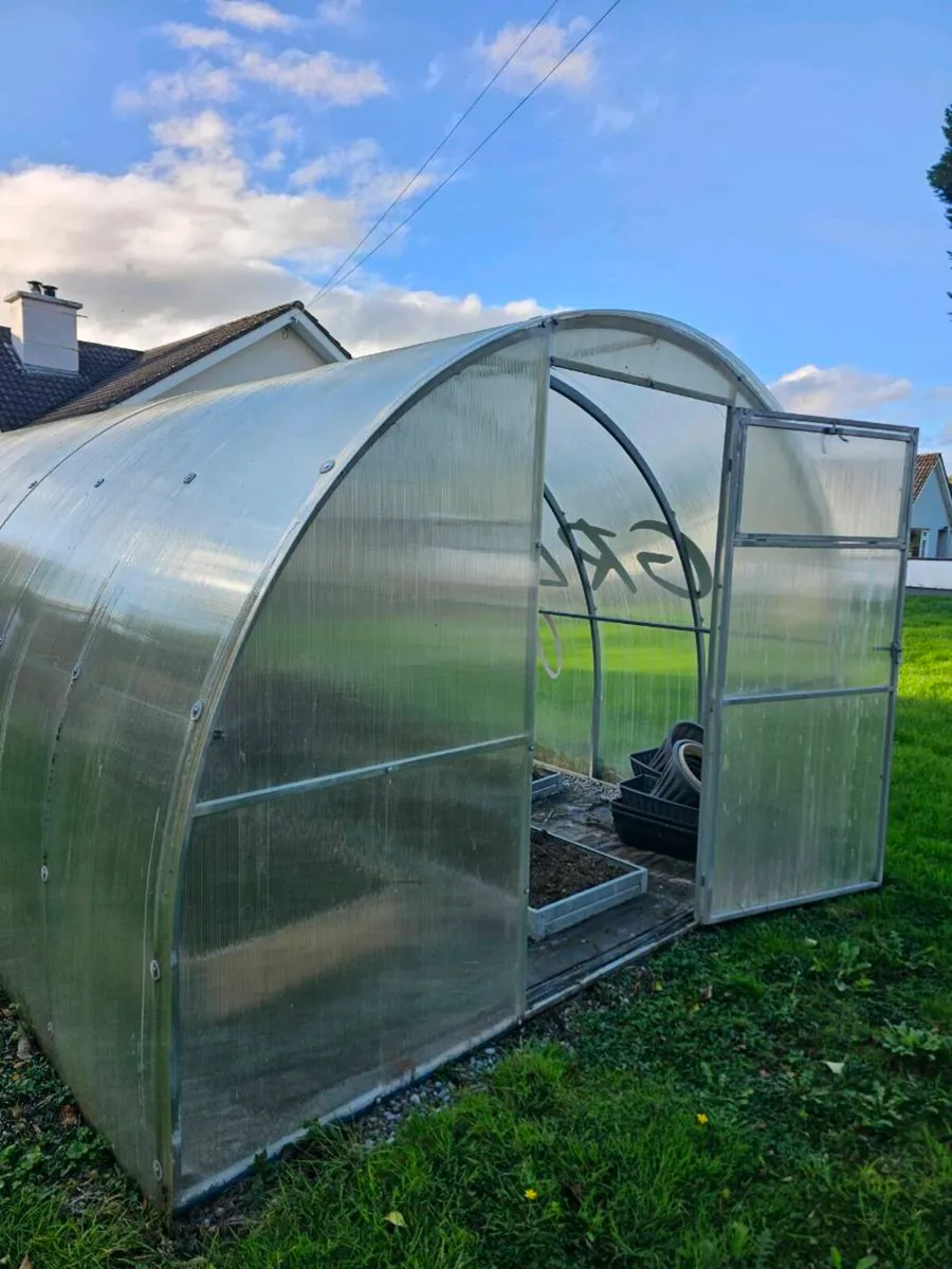 Used Polycarbonate Greenhouse 3x6m - Image 1