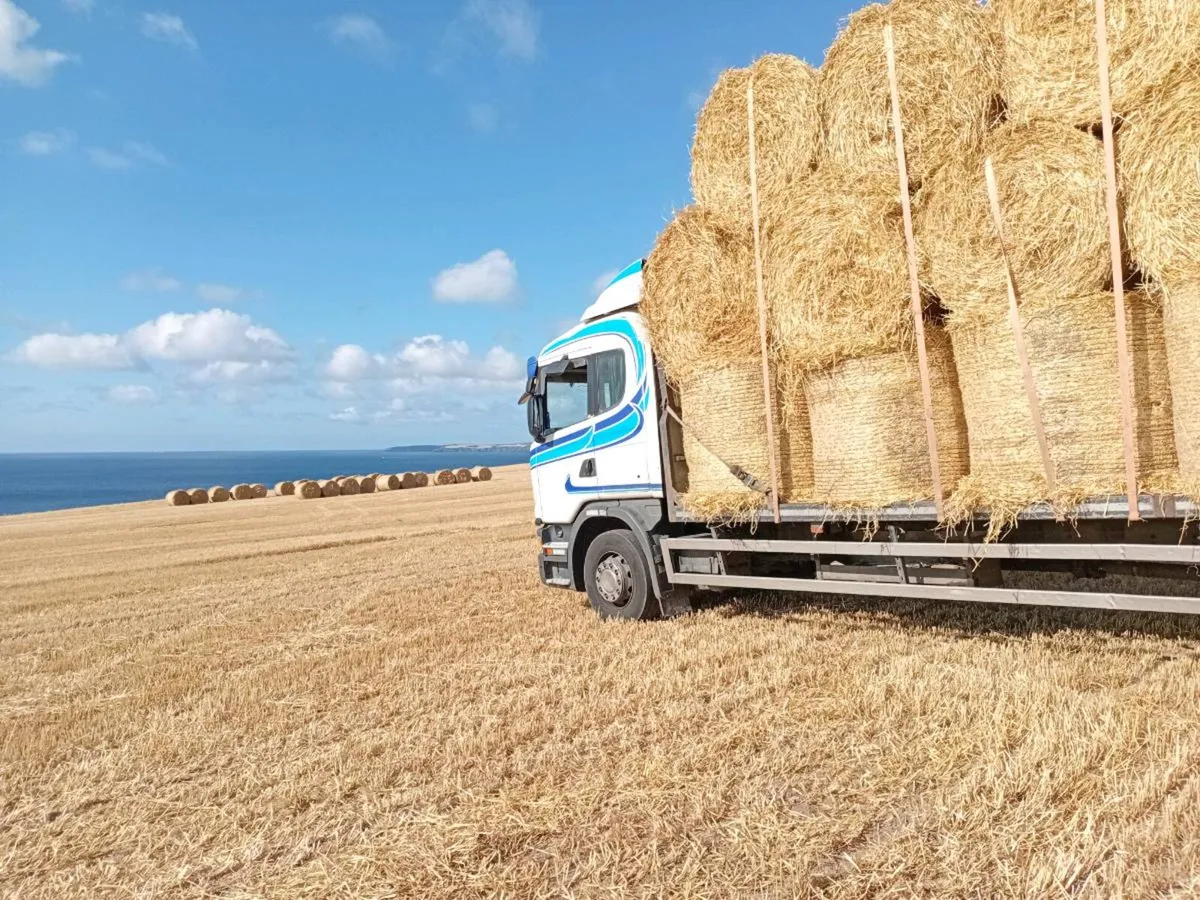 Hay Straw,silage delivered2026 - Image 1