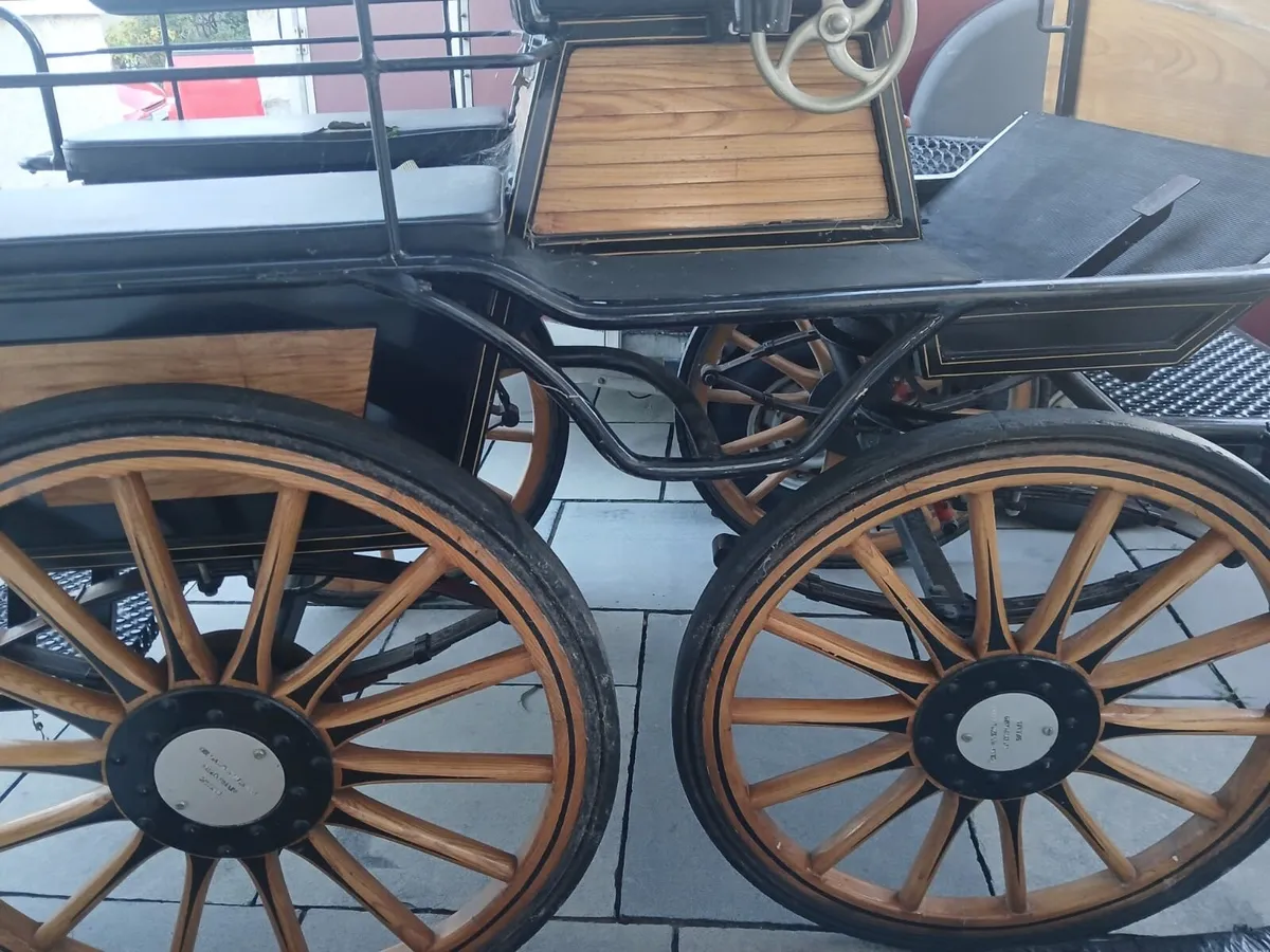 Wagonette gig - Image 4