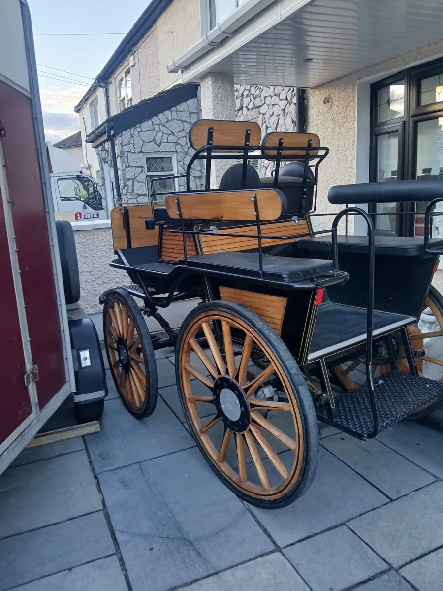 Wagonette gig - Image 1