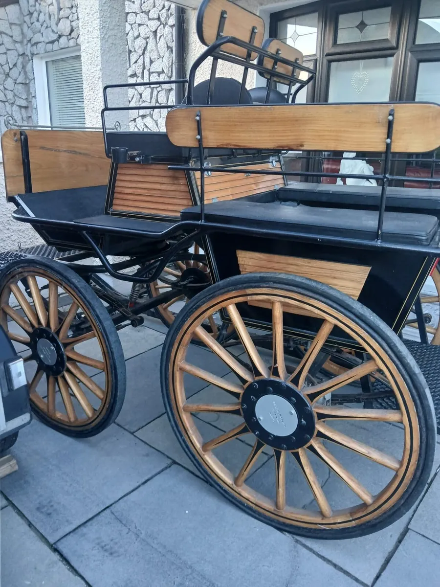 Wagonette gig - Image 2