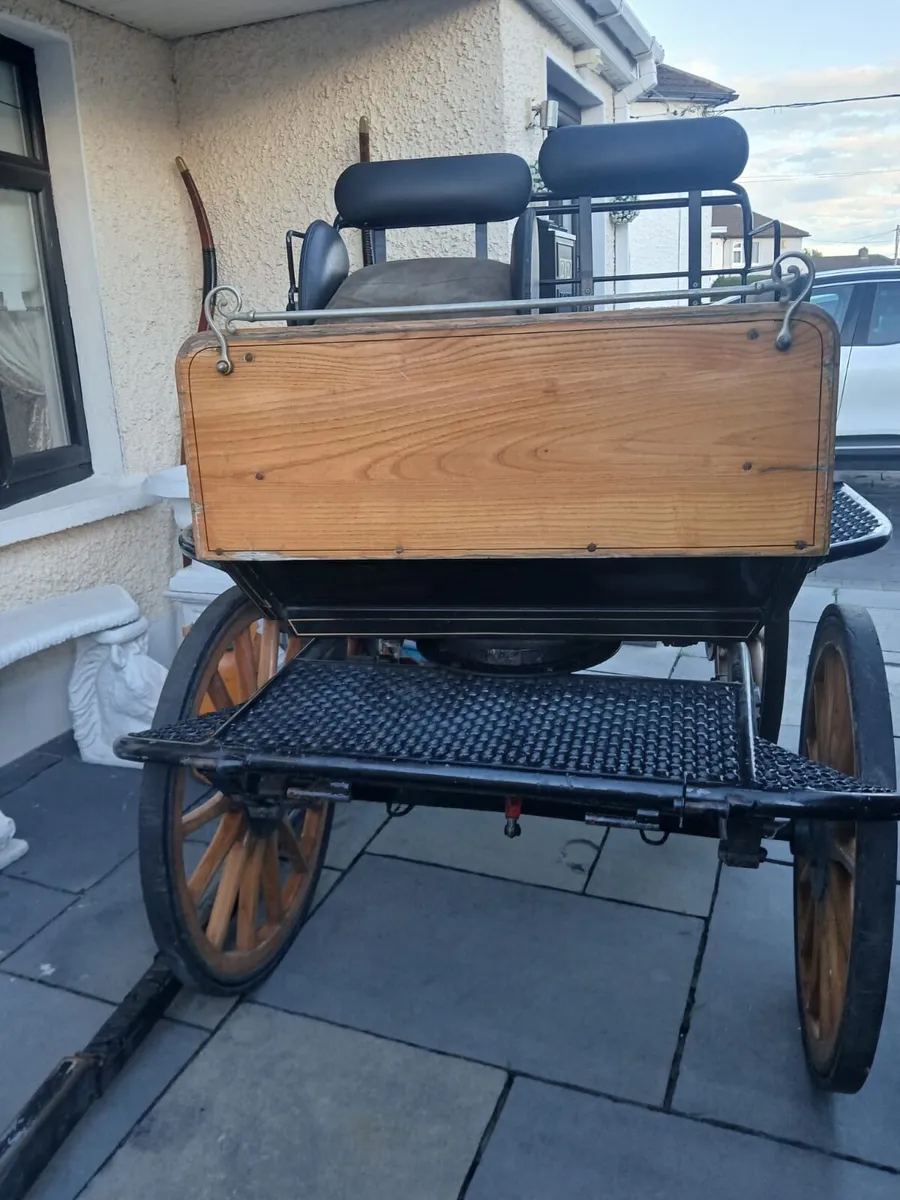 Wagonette gig - Image 3
