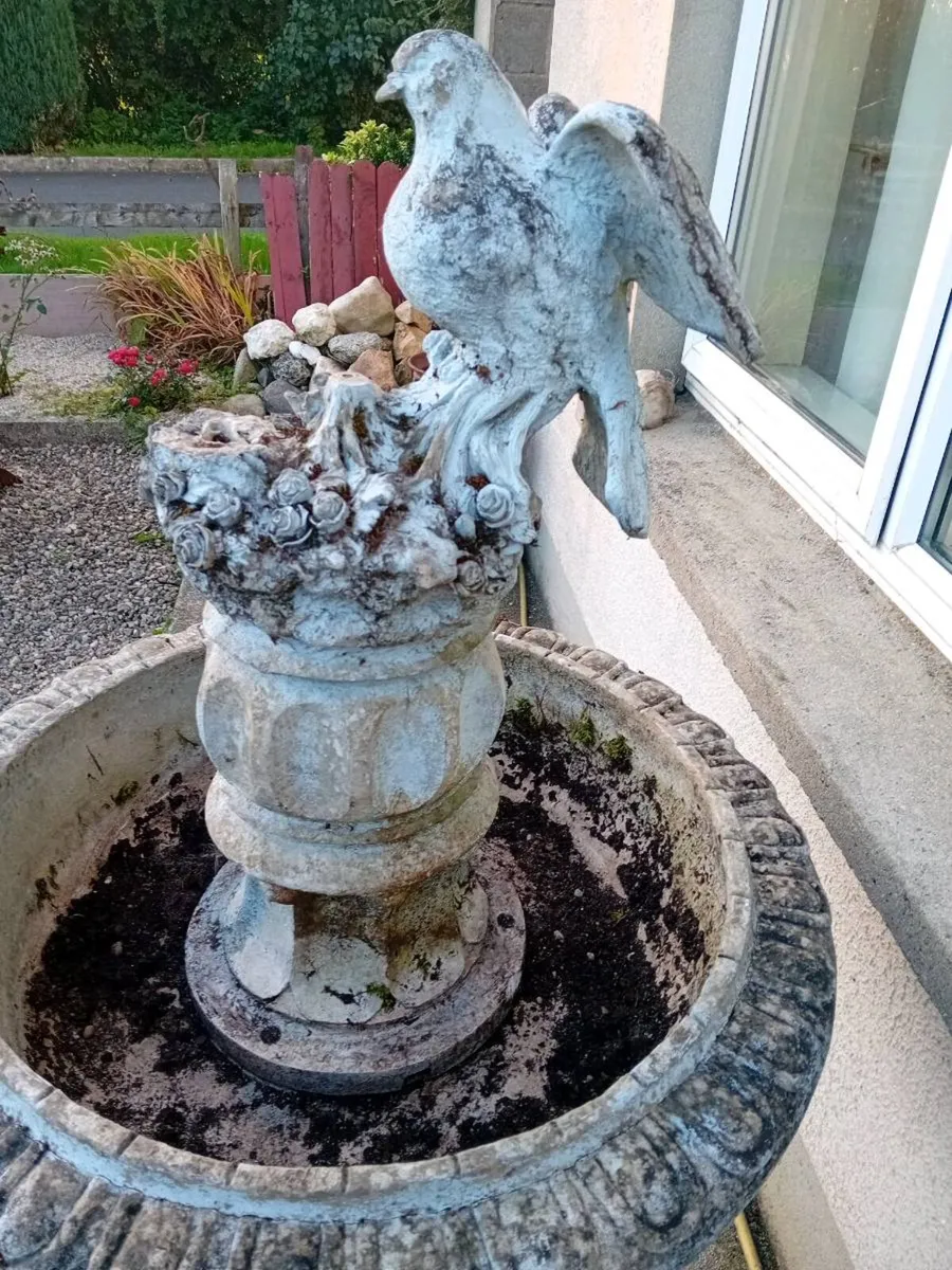 BIRD BATH - Image 2