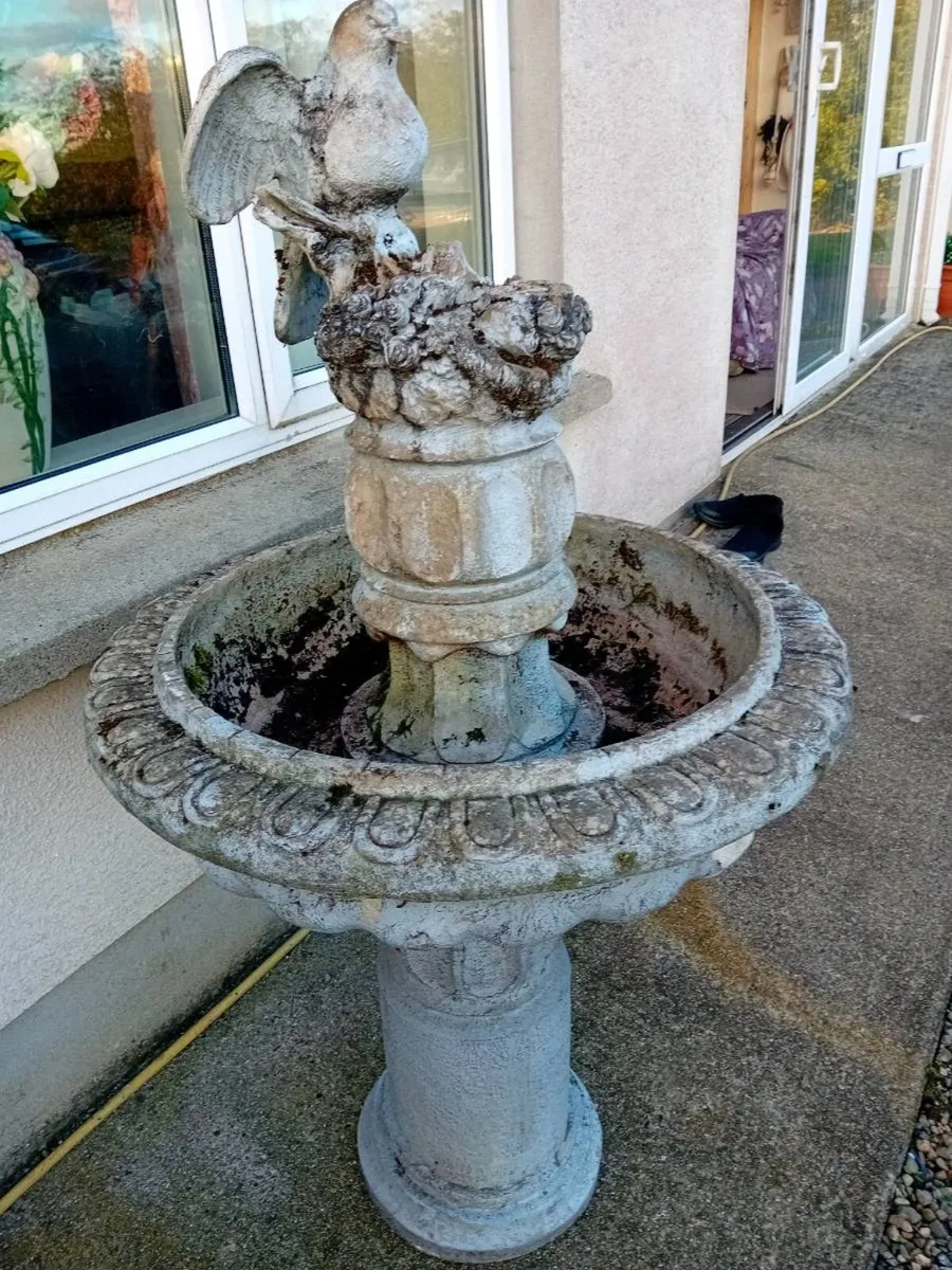 BIRD BATH - Image 3