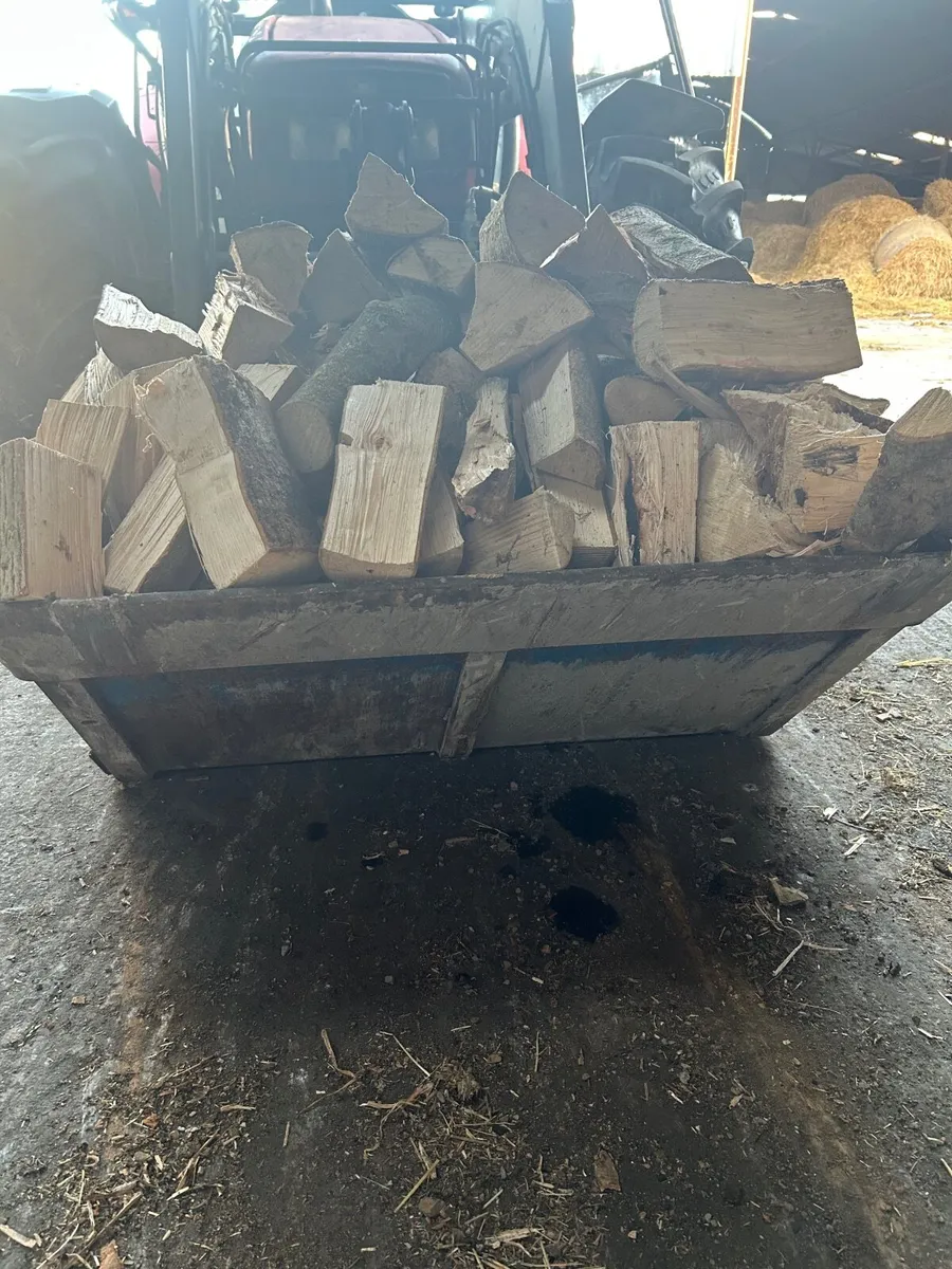 Ash timber - Image 1