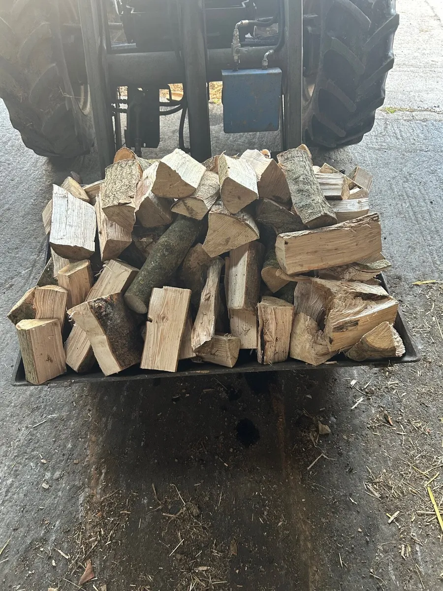 Ash timber - Image 2