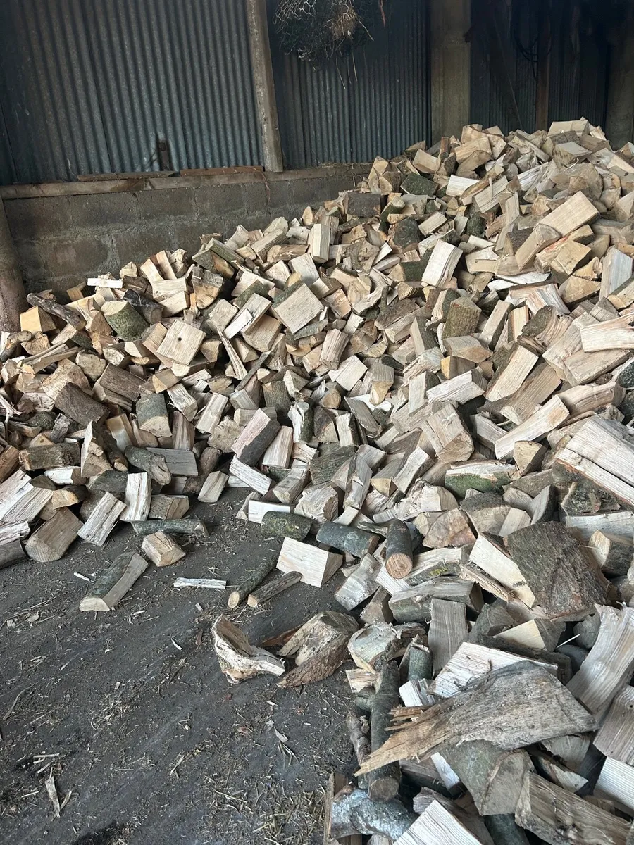Ash timber - Image 3
