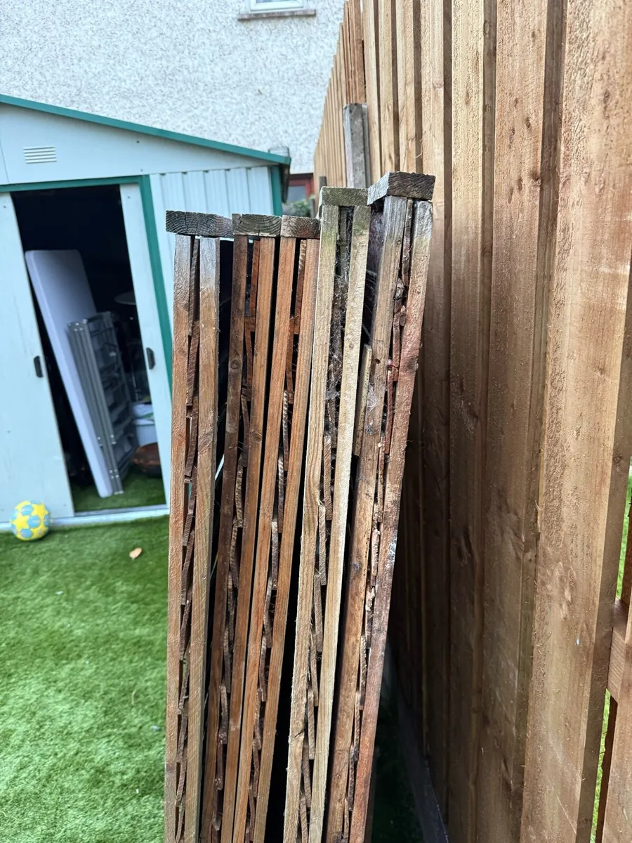 5 fences or firewood for free - Image 3