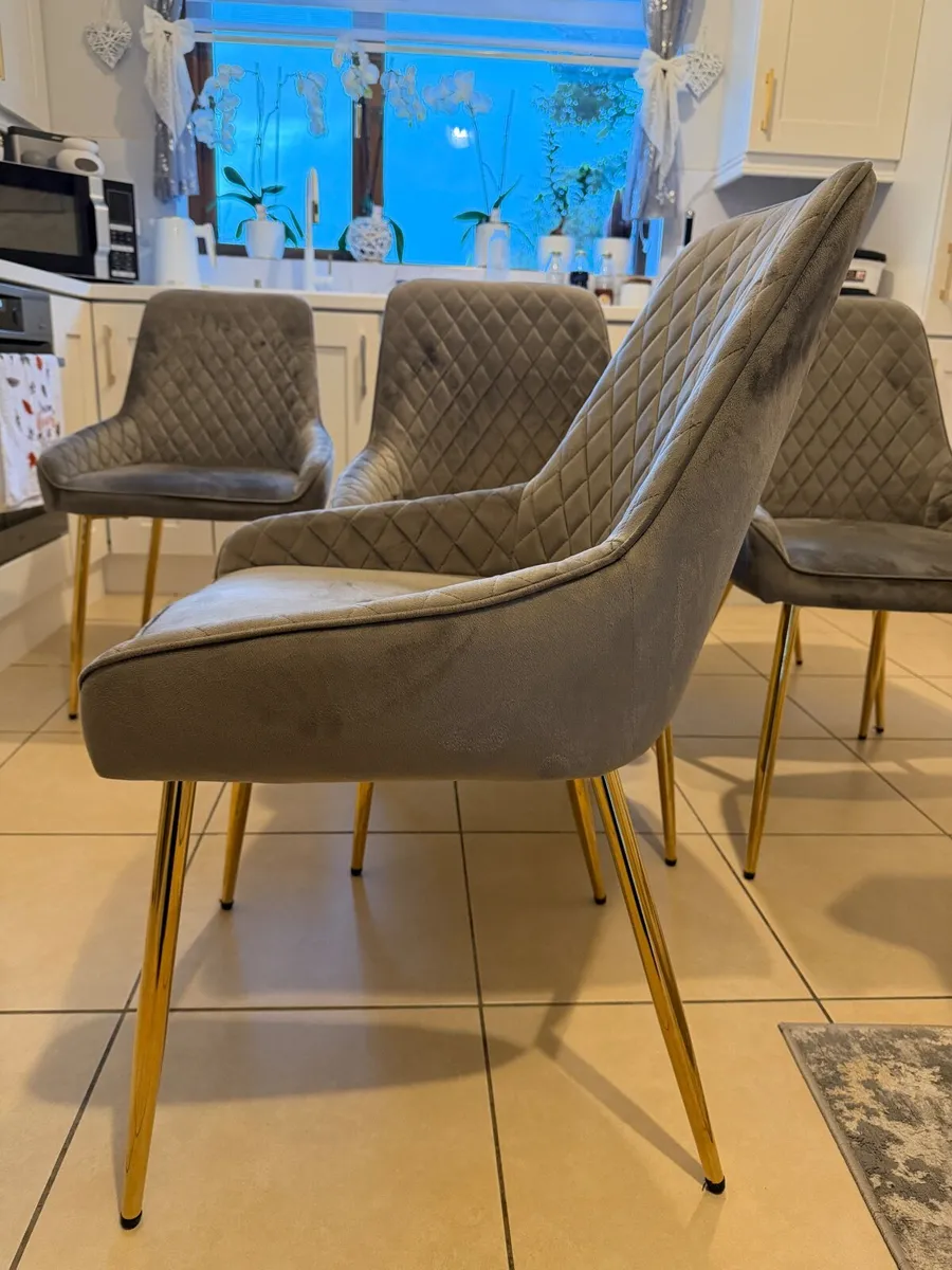Dining chairs - Image 1