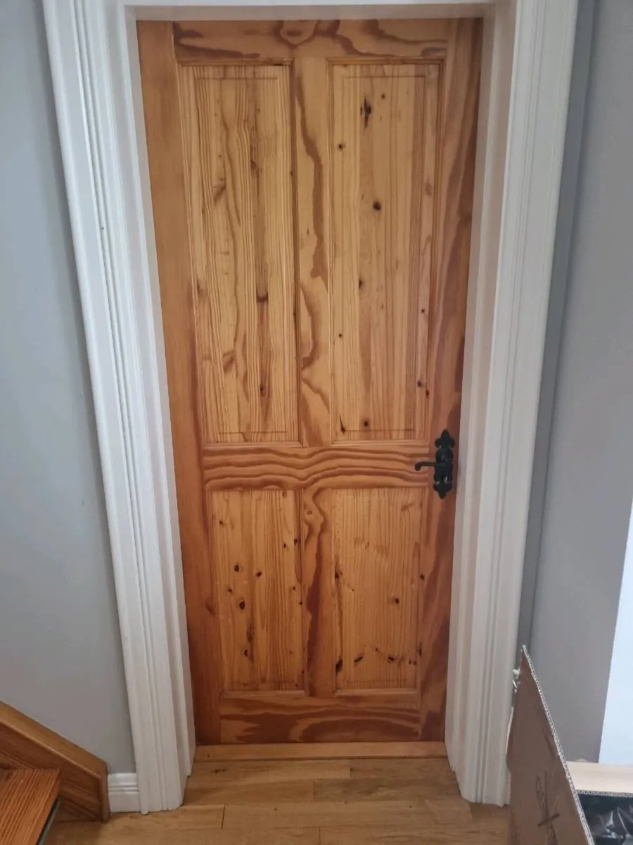 Doors and fireplace - Image 2