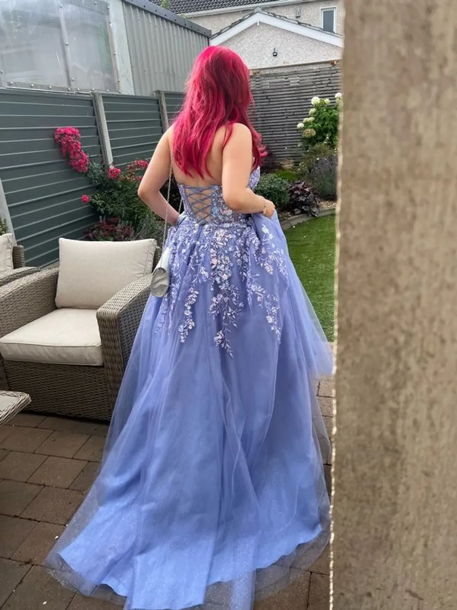 Debs Dress Dani's Closet - Image 3