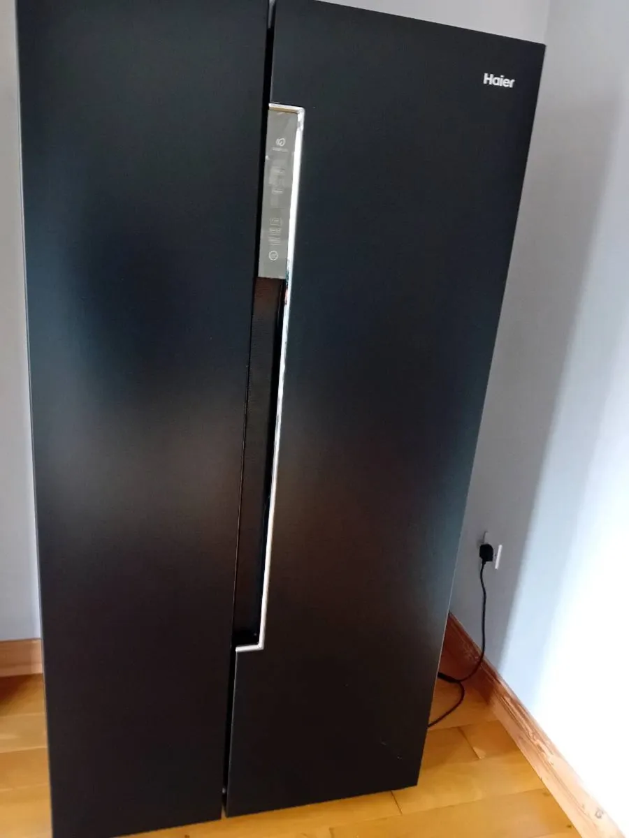 Hair American Style Fridge/Freezer - Image 1