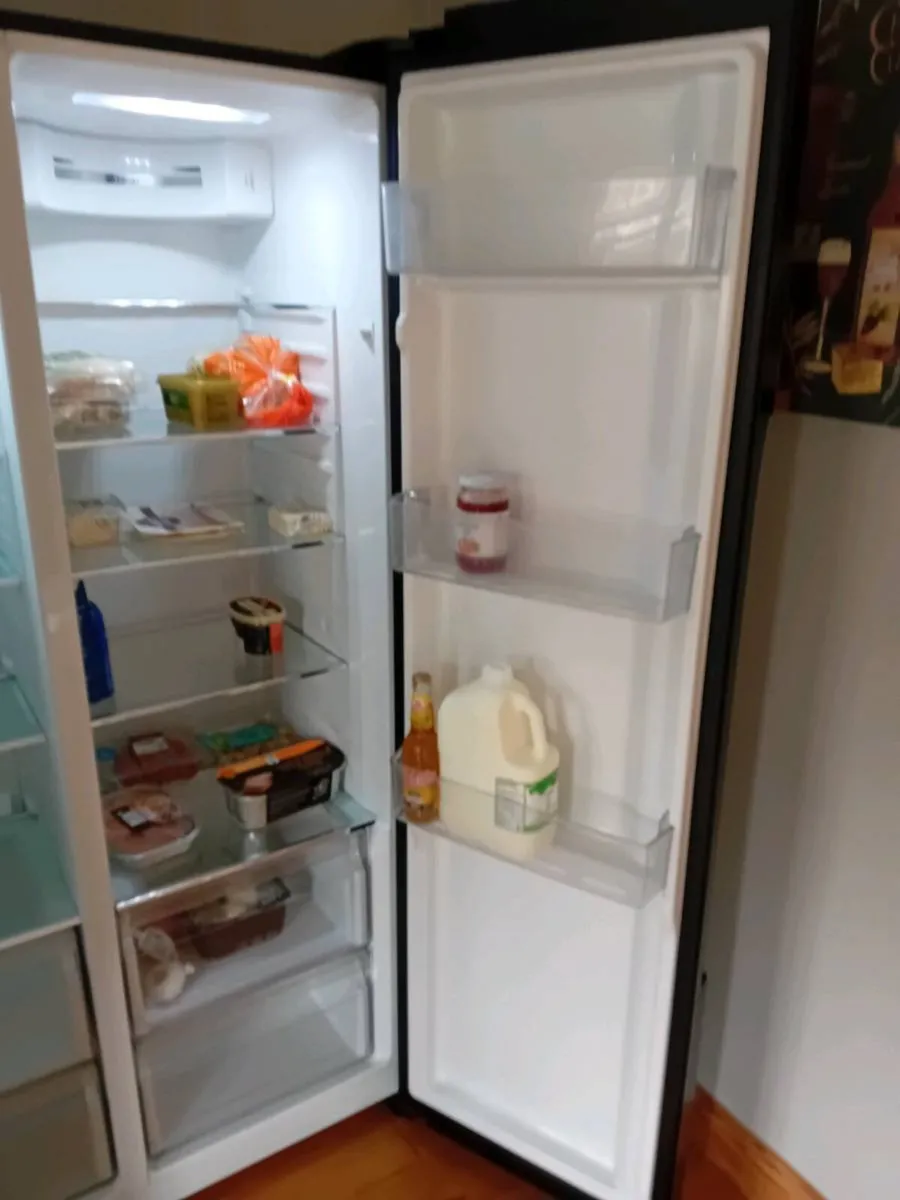Hair American Style Fridge/Freezer - Image 3