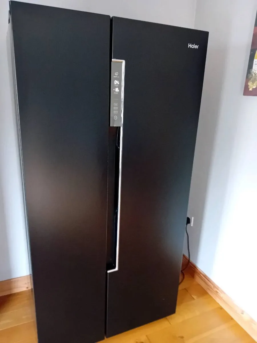 Hair American Style Fridge/Freezer - Image 4