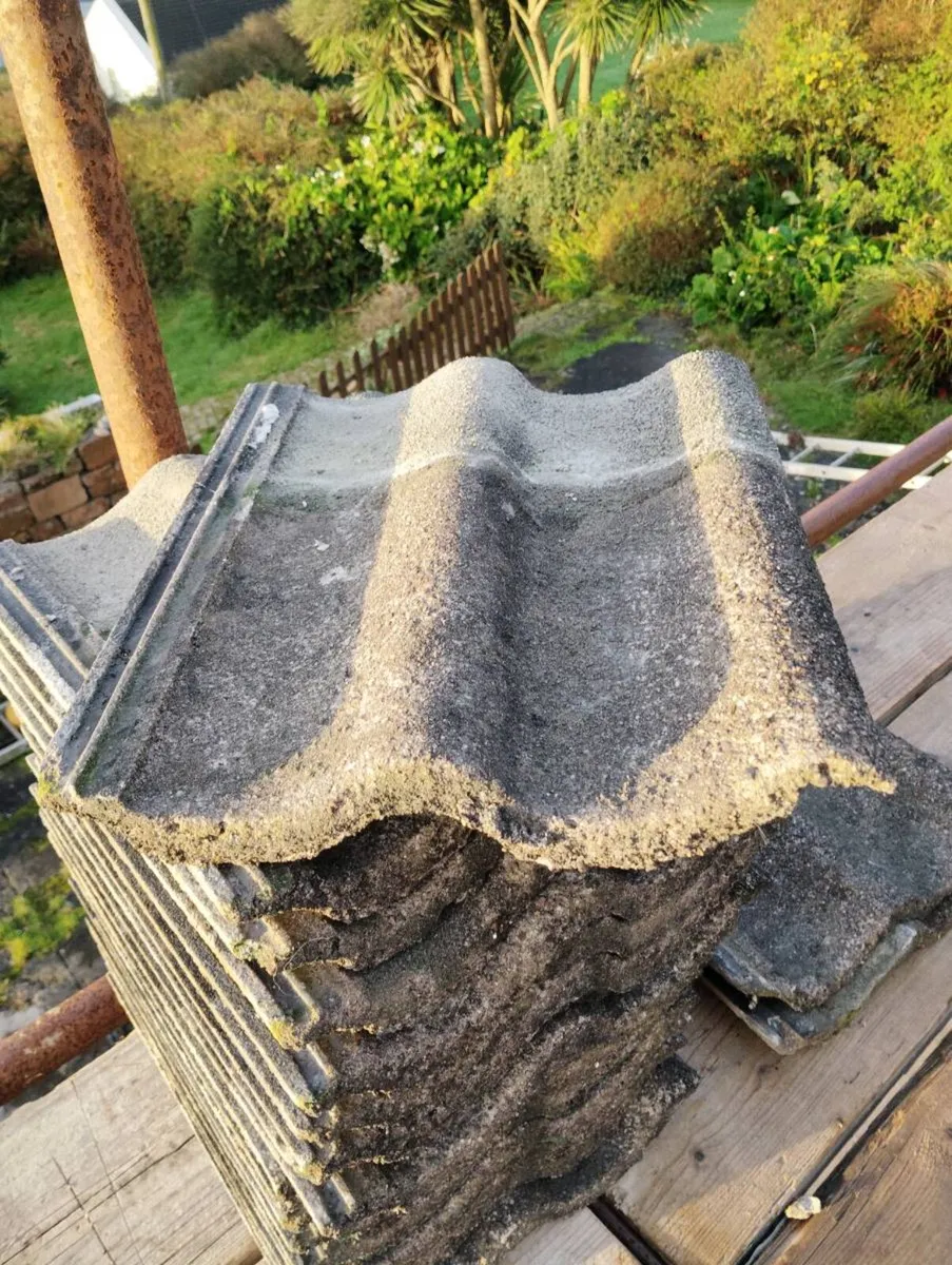 Roof tiles - Image 1