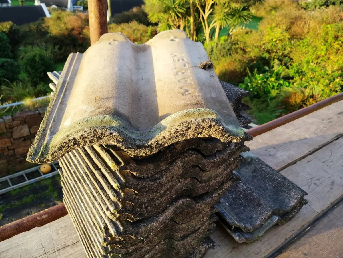 Roof tiles - Image 2