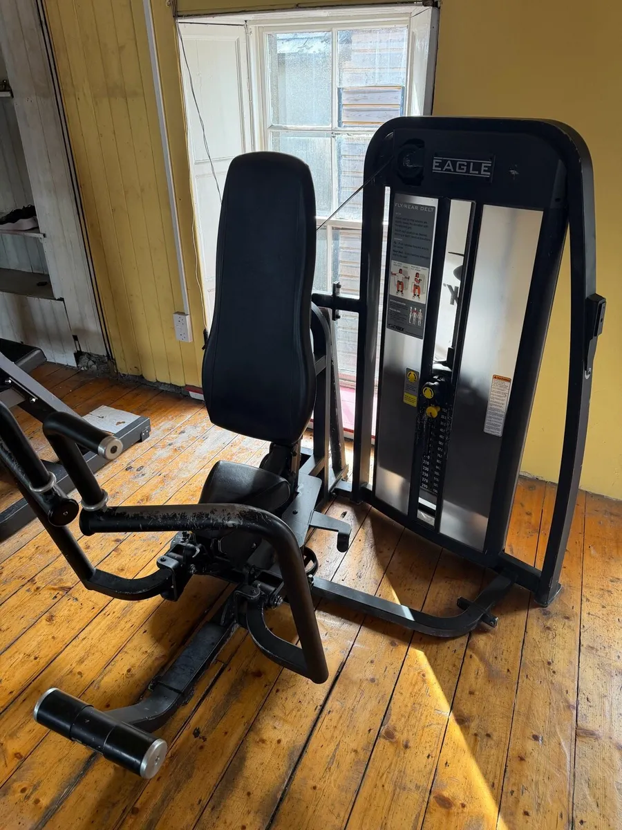 Cybex Eagle Fly / Rear Delt (Pec Fly)