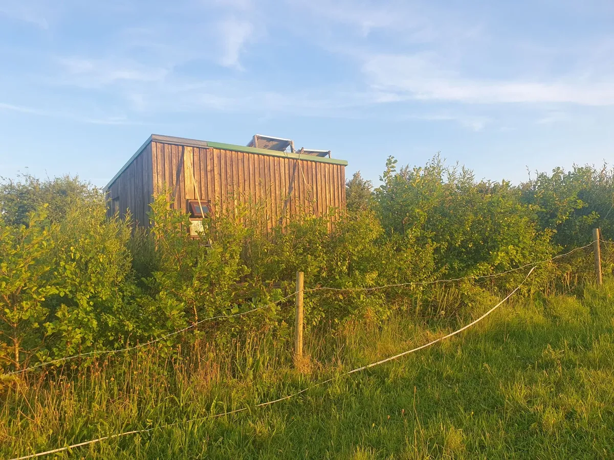 Mobile Tiny Home Cabin - Image 3