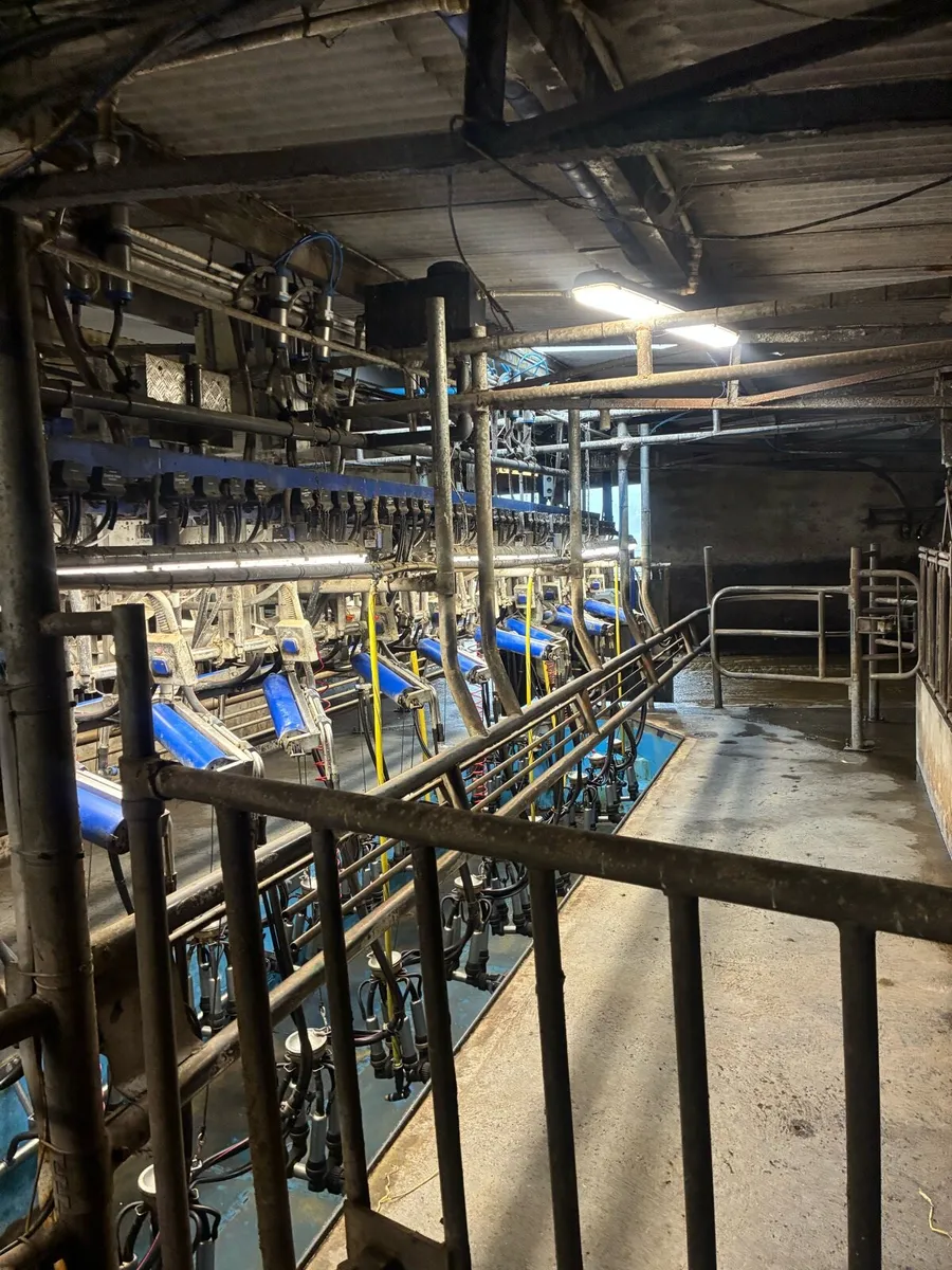 Milking parlor - Image 1