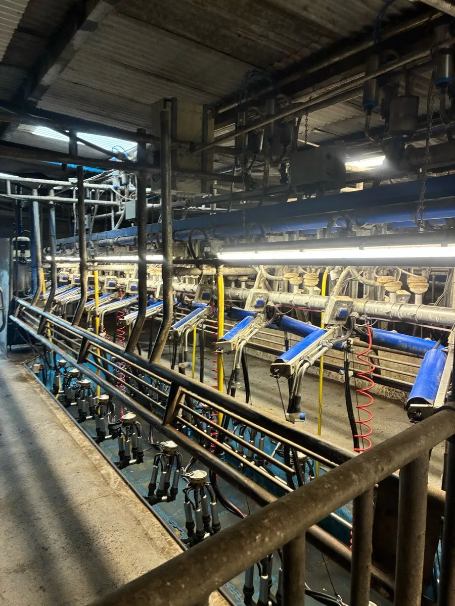 Milking parlor - Image 2