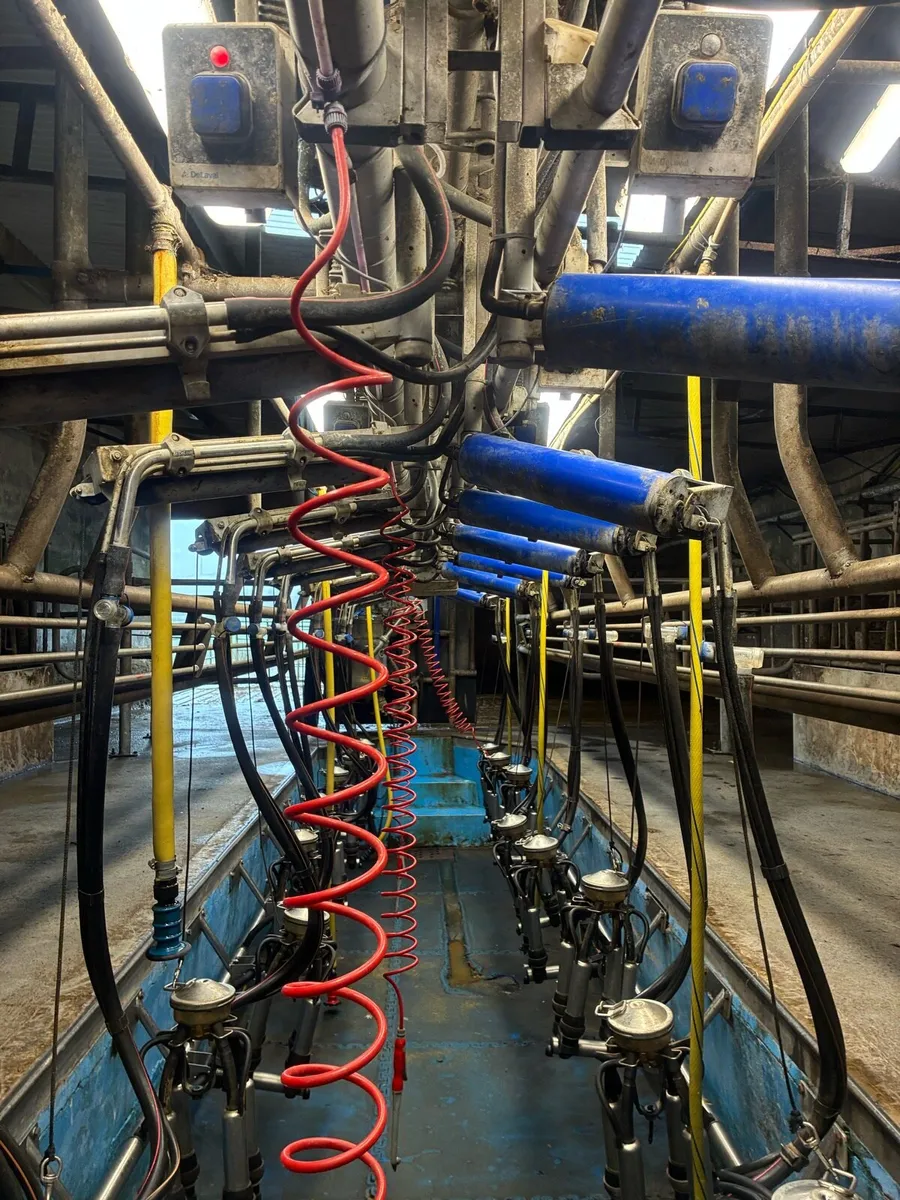 Milking parlor - Image 3