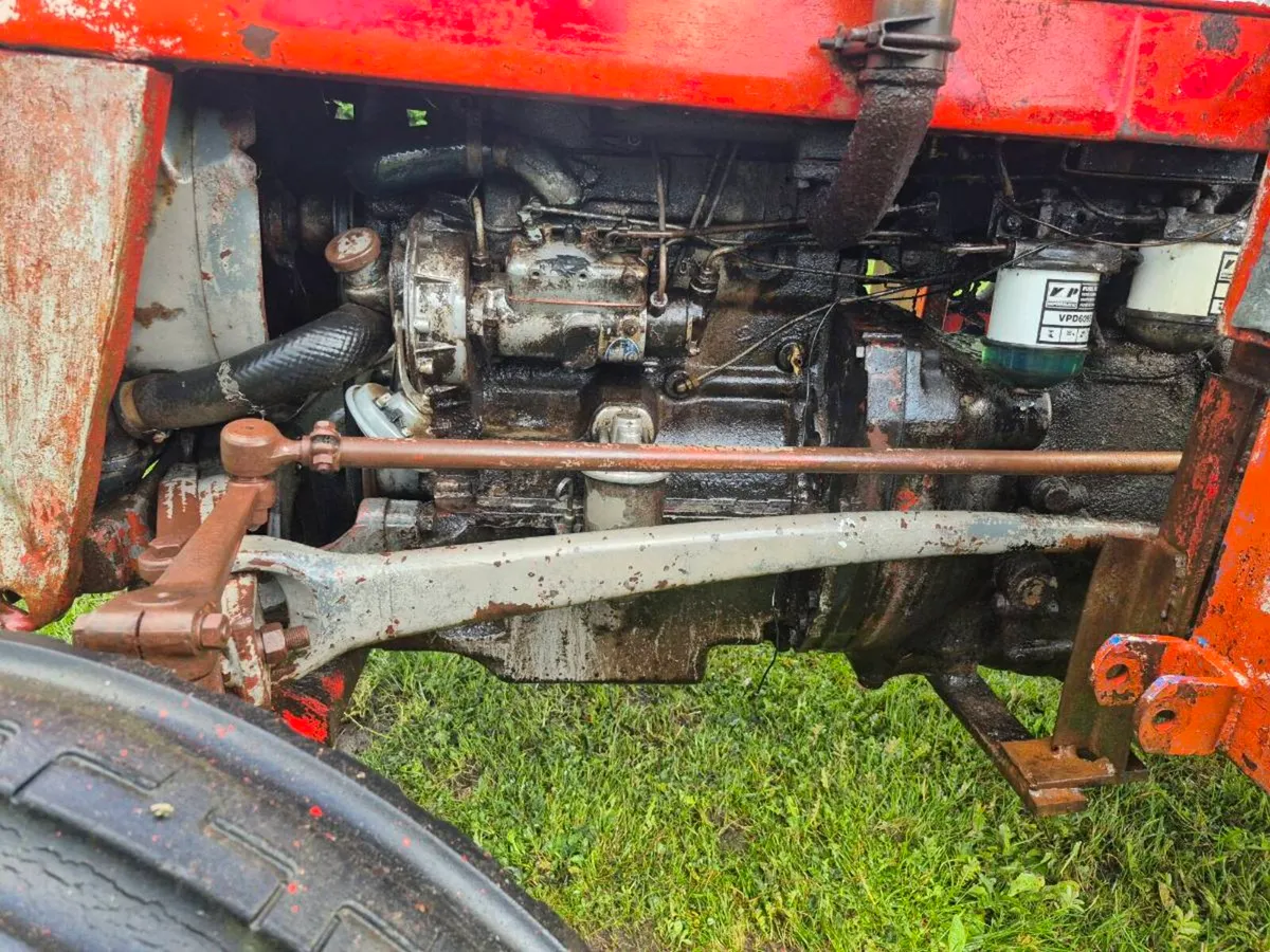 Massey ferguson 135 - Image 2