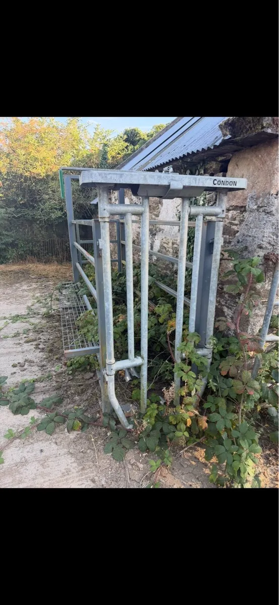 Cattle crush - Image 1