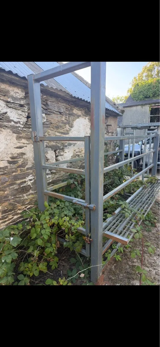 Cattle crush - Image 2