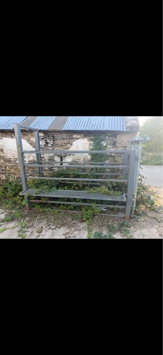Cattle crush - Image 3