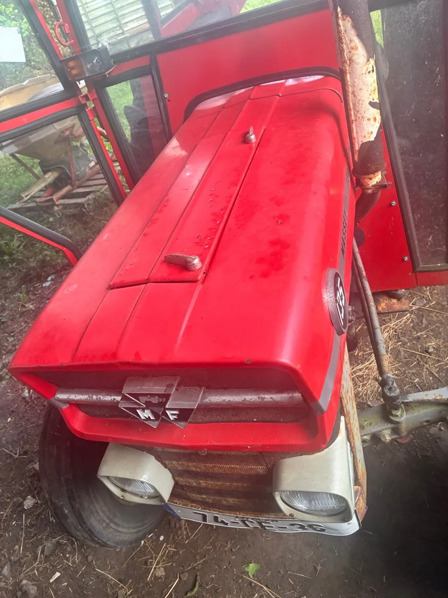 Massey Ferguson 135 - Image 2