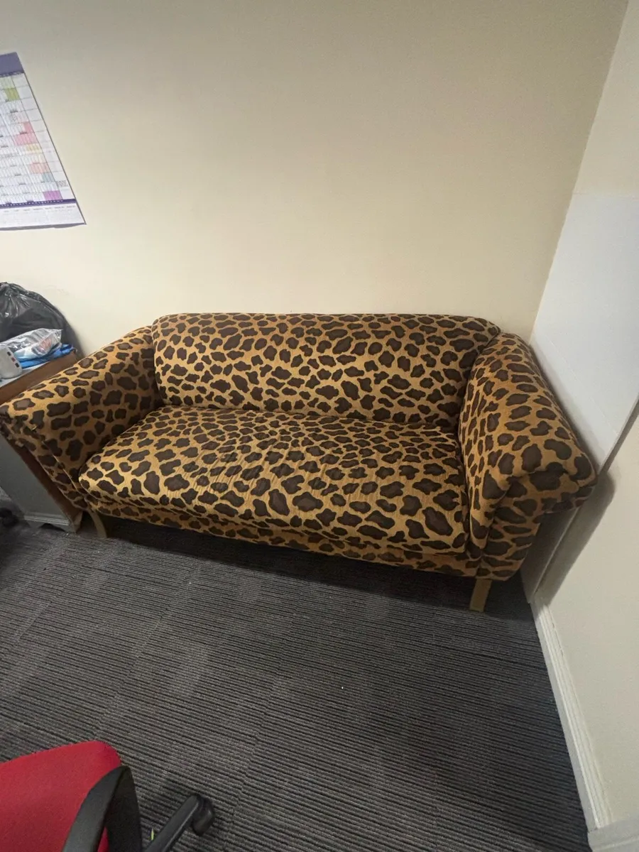 Leopard skin couch