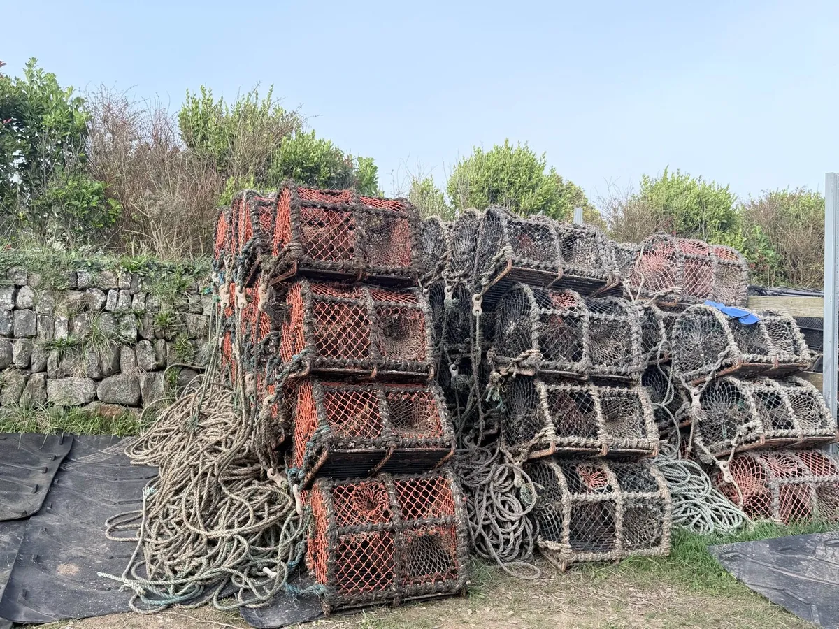 Lobster pots - Image 2