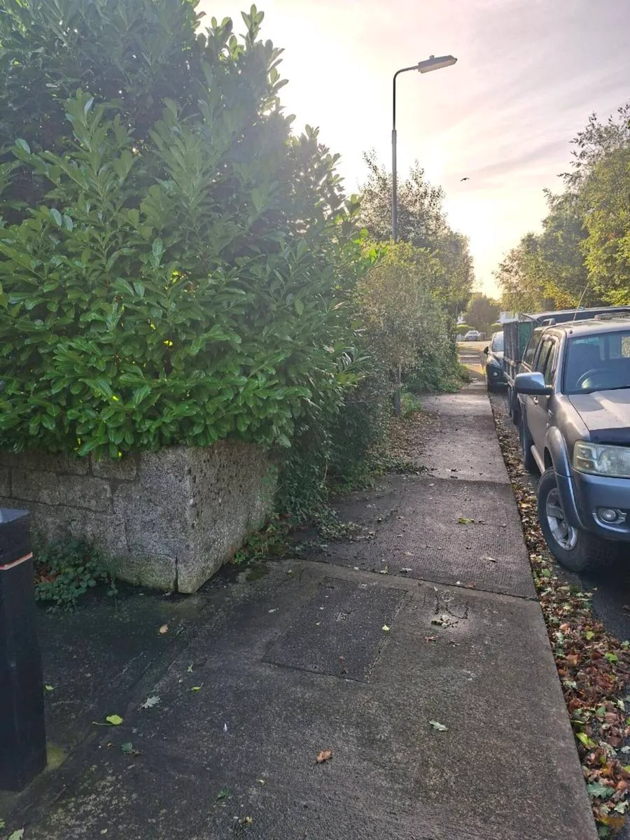 Tree Services ( A.K.J Tree Care) - Image 1