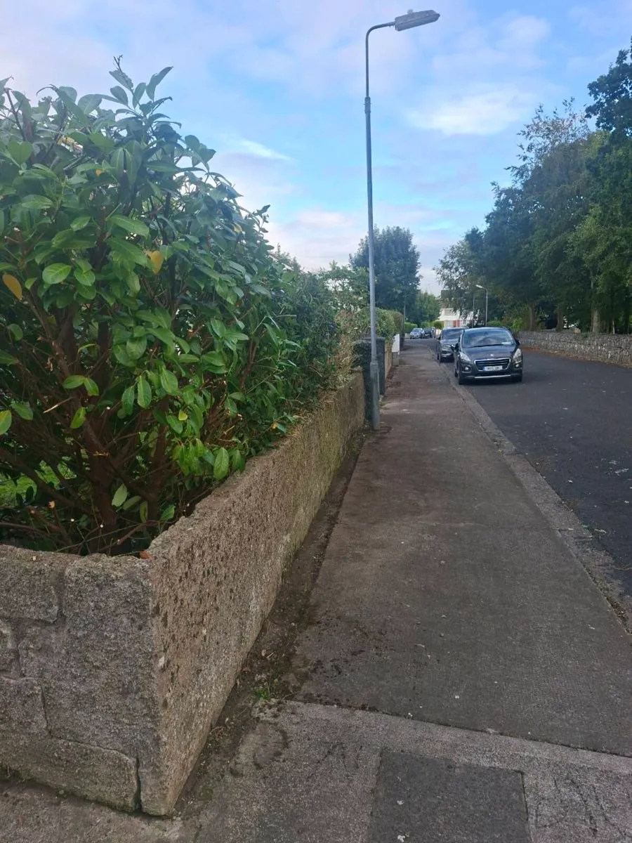 Tree Services ( A.K.J Tree Care) - Image 2