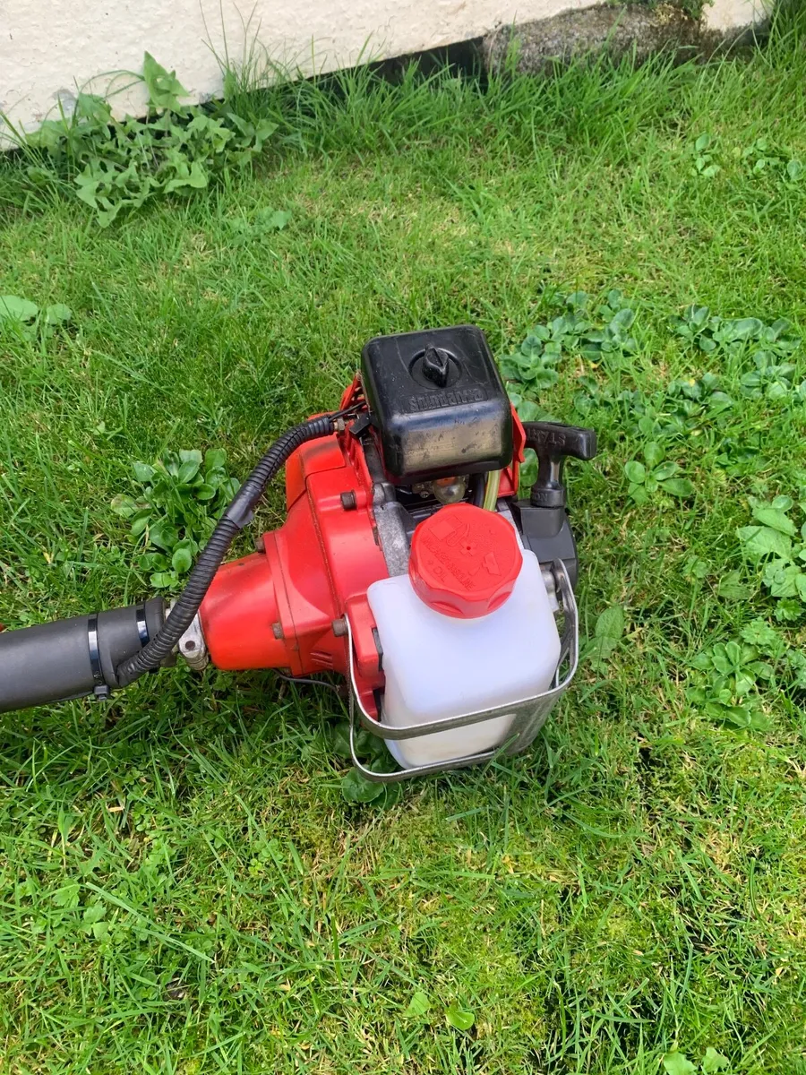 Strimmer - Image 2