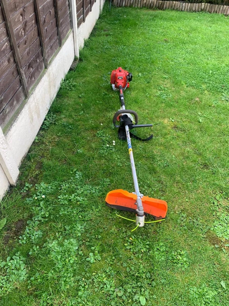 Strimmer - Image 3