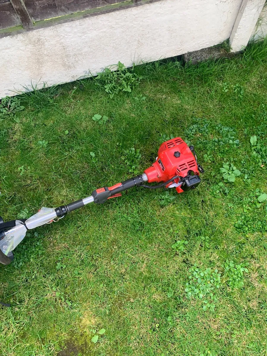 Strimmer - Image 4