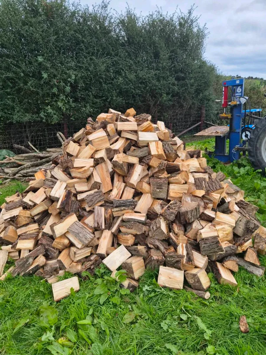 🔥 Firewood 🔥 - Image 1